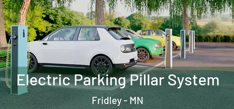 Electric Parking Pillar System Fridley - MN