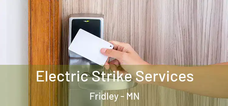 Electric Strike Services Fridley - MN