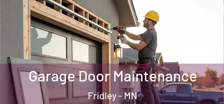 Garage Door Maintenance Fridley - MN