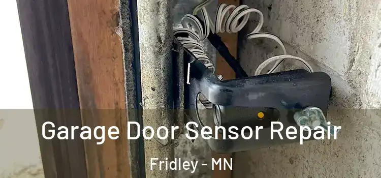 Garage Door Sensor Repair Fridley - MN