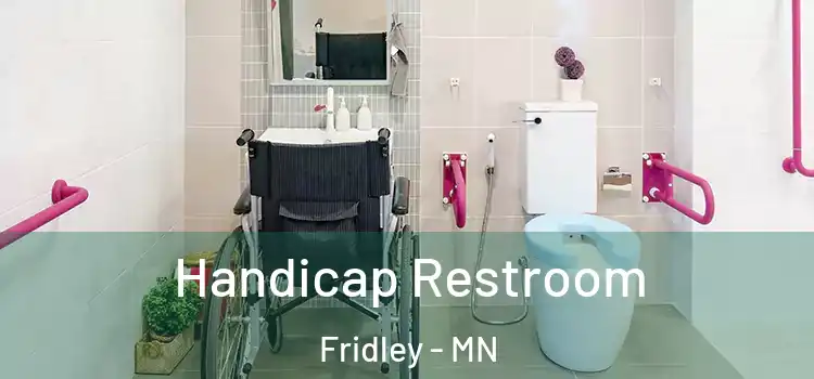  Handicap Restroom Fridley - MN