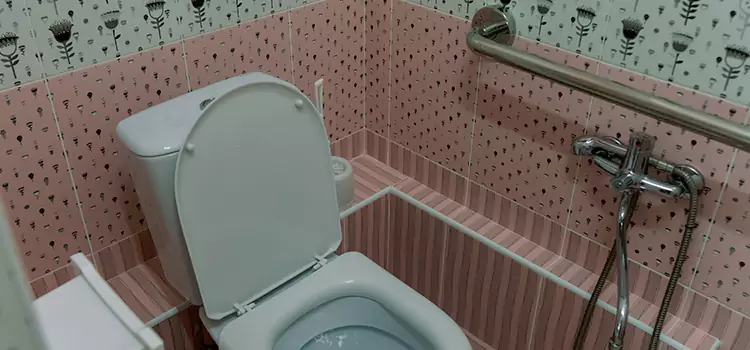 Meeting Diverse Needs With Accessible Restroom Solutions in Fridley, MN
